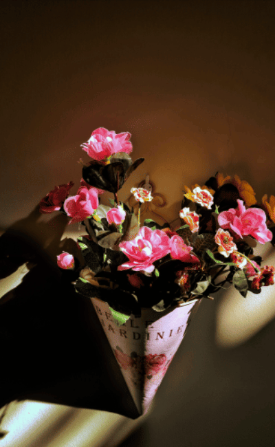 best tea in Danang, Vietnam